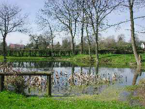 Logo Bourg-Beaudouin