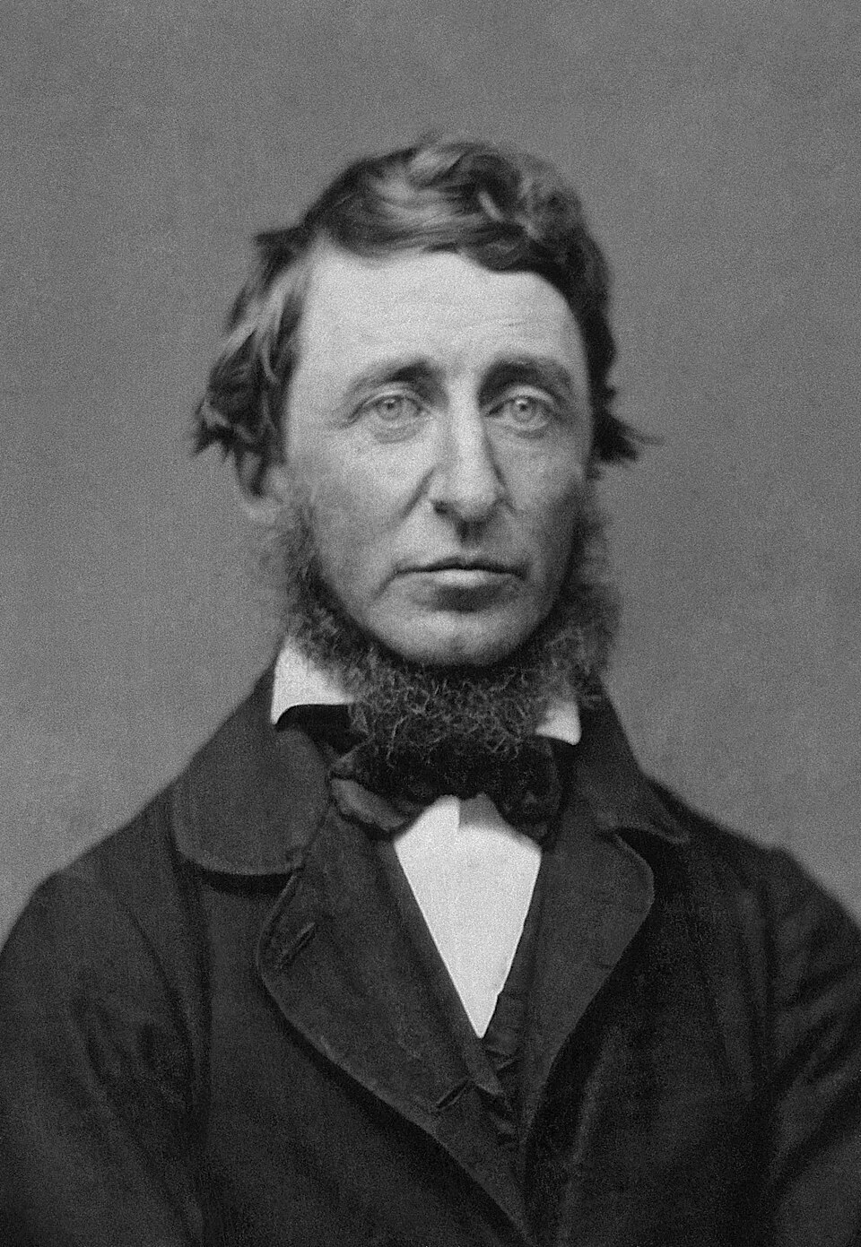 Logo Henry David Thoreau