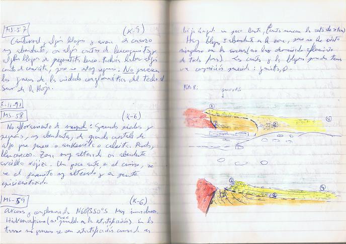 Logo field notes