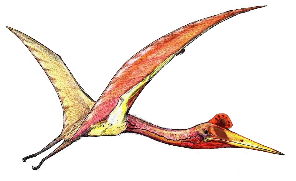 Logo Azhdarchidae