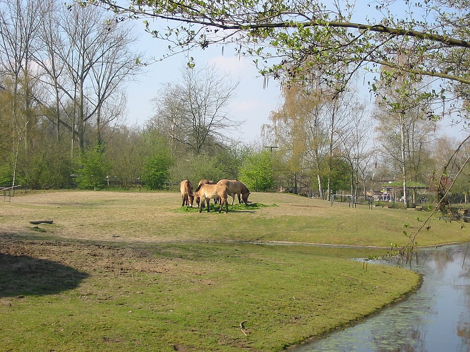 Logo Planckendael