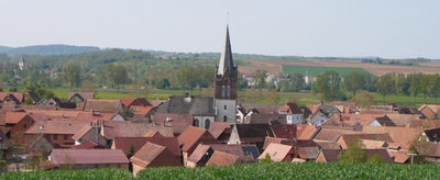Logo Ingenheim