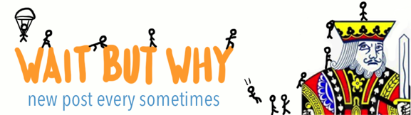 Logo Wait But Why