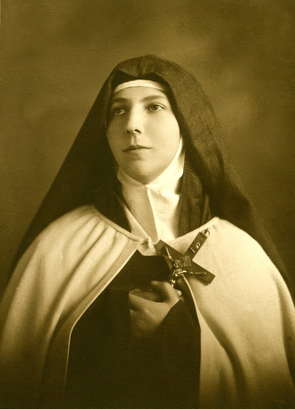 Logo Thérèse des Andes