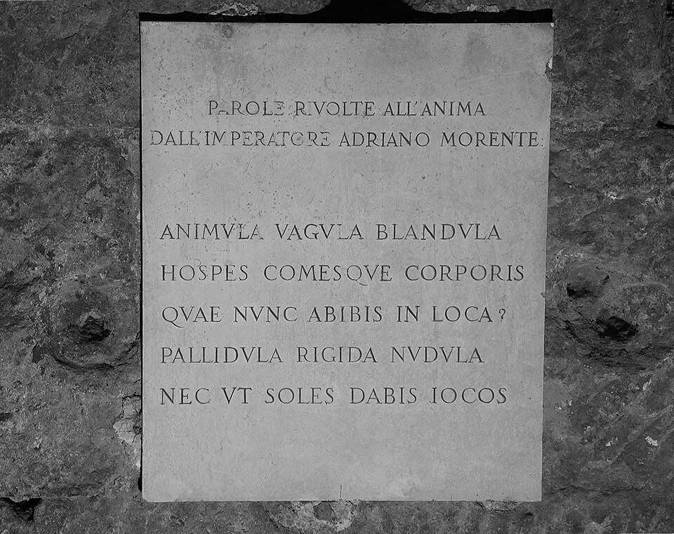 Logo Animula Vagula Blandula