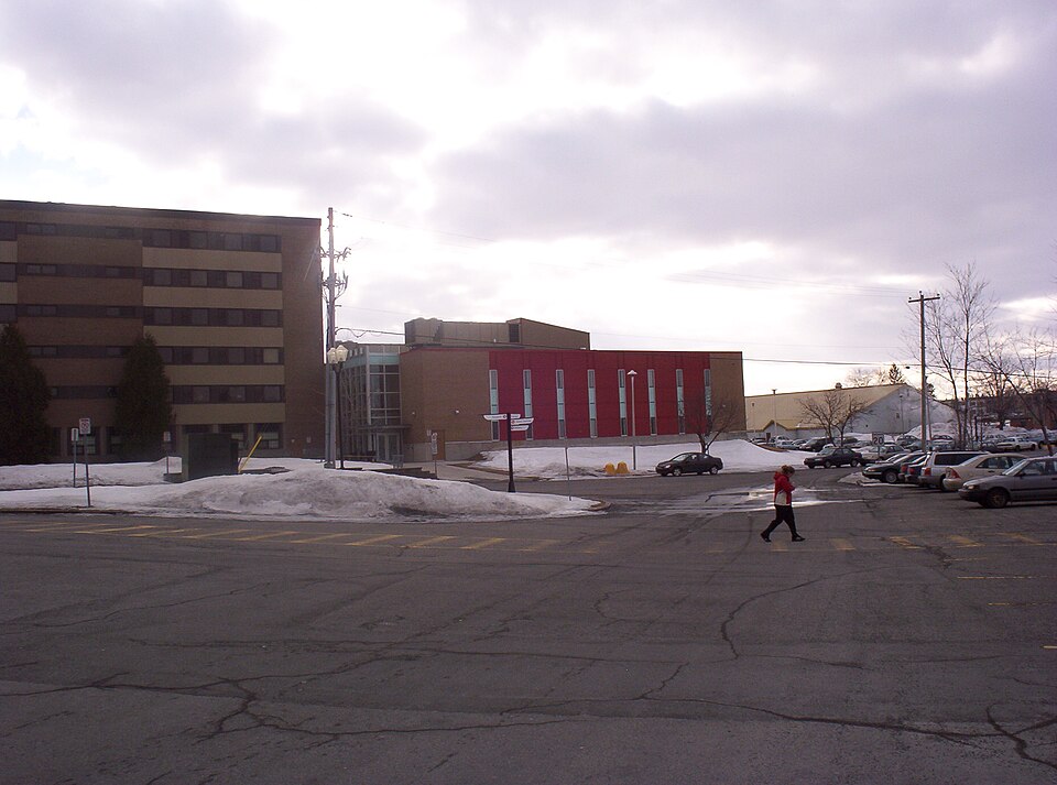 Logo Collège Lionel-Groulx