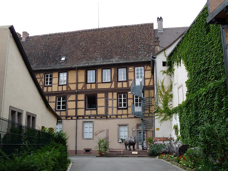 Logo muséum d'histoire naturelle de Colmar