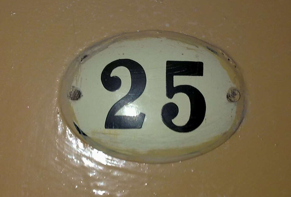 Logo 25