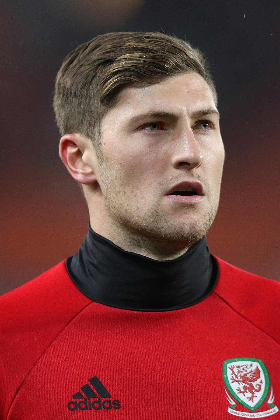 Logo Ben Davies