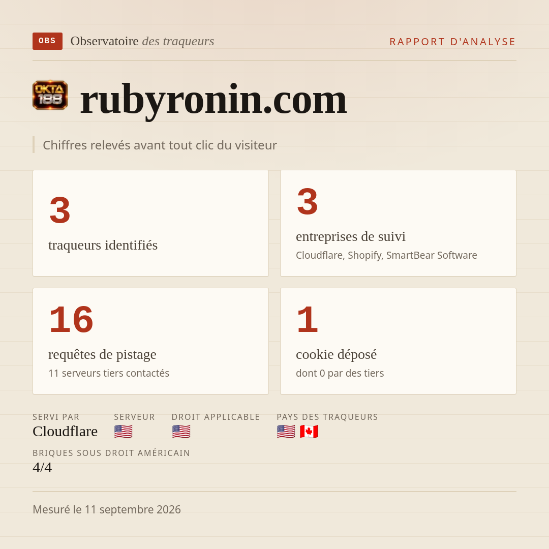 rubyronin.com : 3 traqueurs identifiés, 3 entreprises de suivi, 16 requêtes de pistage. Chiffres relevés avant tout clic du visiteur.